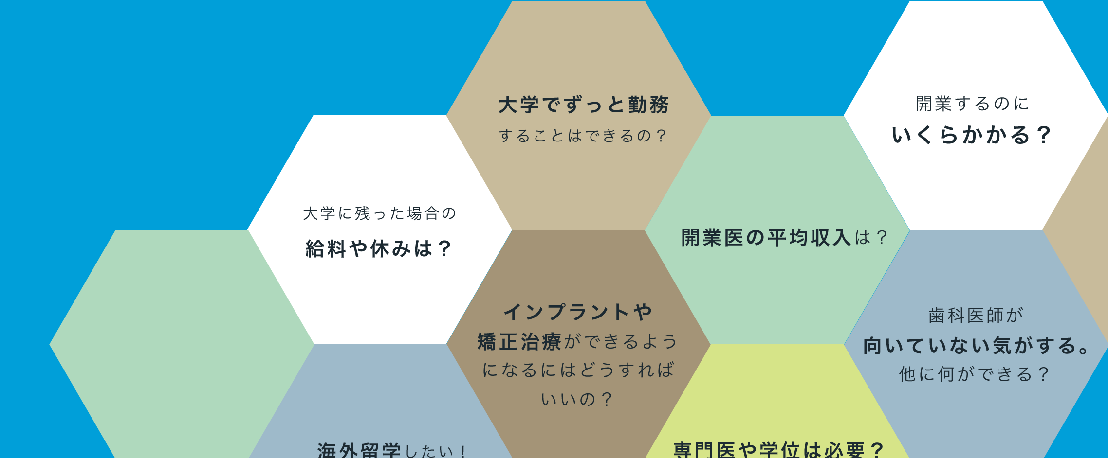 大学に残った場合の給料や休みは？ 
大学でずっと勤務することができるの？ 
開業医で勤務しても勉強できるの？ 
インプラントや矯正治療ができるようになるにはどうすればいいの？ 
開業医の平均収入は？ 
開業するのにいくらかかるの？ 
専門医や学位は必要？役立つ？ 
海外留学したい！ 
歯科医師が向いていない気がする。他に何ができる？ 